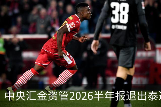中央汇金资管2026半年报退出泰达股份前十大股东名单