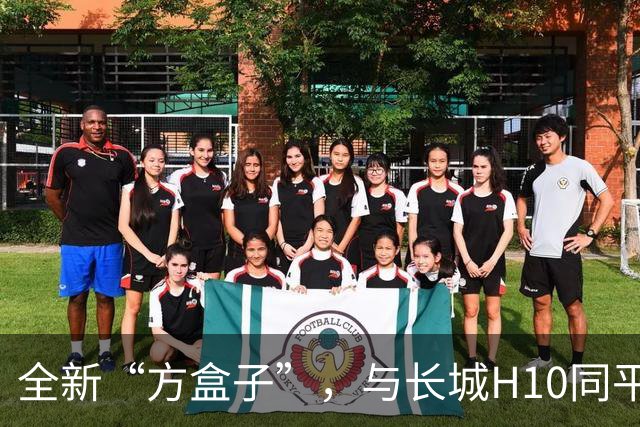 全新“方盒子”，与长城H10同平台，配2.0T+双电机，还有空气悬架