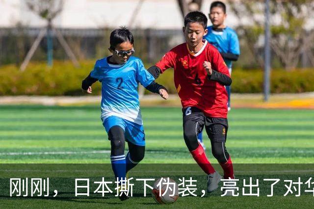 刚刚，日本撕下伪装，亮出了对华摊牌的底牌！