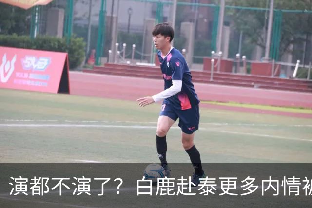 演都不演了？白鹿赴泰更多内情被扒，众星被连带，难怪不取消活动