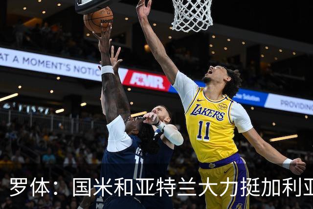 罗体：国米和亚特兰大力挺加利亚尼竞选足协主席