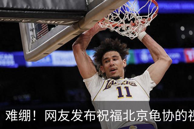 难绷！网友发布祝福北京龟协的视频，评论区涌入大批足球迷