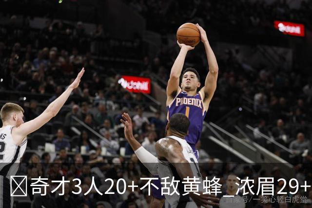🏀奇才3人20+不敌黄蜂 浓眉29+10 特雷-杨22+6+10 米勒新高39+6