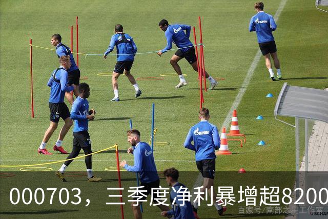 000703，三季度净利暴增超82000%！